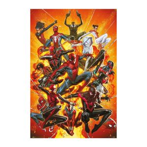 Plakát Marvel - Spider-Man Geddon 1 (217)
