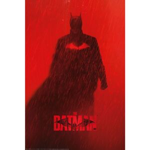 Plakát The Batman 2022 - Rain (64)