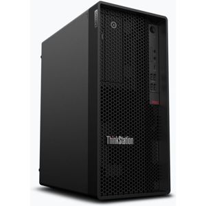 Lenovo ThinkStation P340 Tower (30DH00F7CK) černý