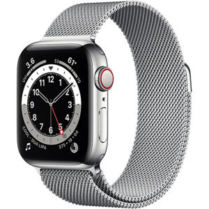 Apple Watch Series 6 Cellular 40mm stříbrné ocelové tělo se stříbrným milánským tahem