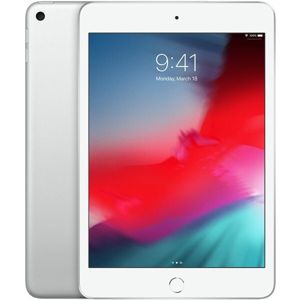 Apple iPad mini 64GB Wi-Fi stříbrný (2019)