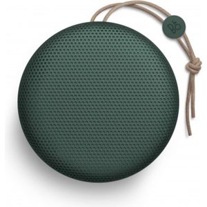 Beoplay A1 Pine