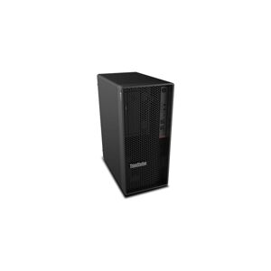 Lenovo ThinkStation P360 Tower (30FM0072CK) černý