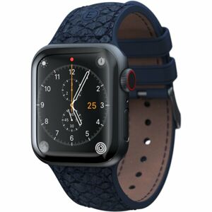 NJORD Vatn Apple Watch Strap 40mm blue