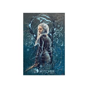 Plakát The Witcher - Ciri the Swallow (265)