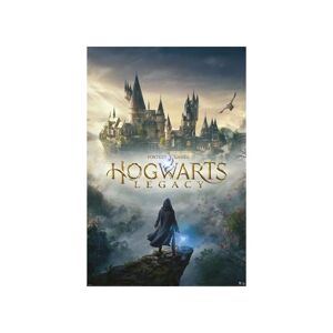 Plakát Harry Potter - Hogwarts Legacy (273)
