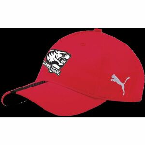 Kšiltovka Puma Dark Tigers (Baseball)