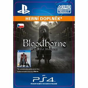 Bloodborne The Old Hunters (PS4)