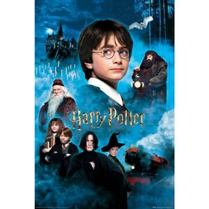 Plakát Harry Potter - Philosopher's Stone (51)
