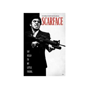 Plakát Scarface - Say Hello To My Little Friend (17)