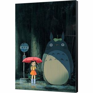Dřevěná nástěnná dekorace My Neighbor Totoro - Totoro 35 x 50 cm