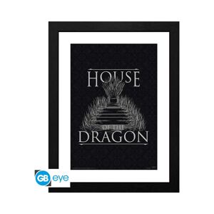 Obraz v rámu House of the Dragon - Iron Throne