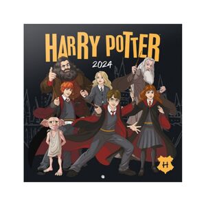 Kalendář Harry Potter 2024